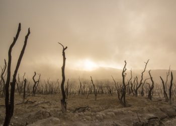 „Cod roșu pentru umanitate”. Raport ONU: Omenirea va trece prin evenimente meteo extreme fără precedent