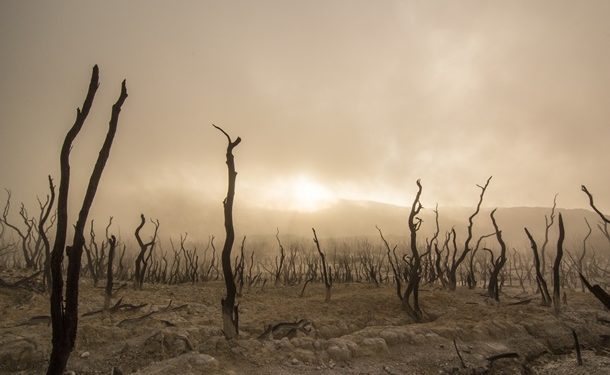 „Cod roșu pentru umanitate”. Raport ONU: Omenirea va trece prin evenimente meteo extreme fără precedent