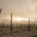 „Cod roșu pentru umanitate”. Raport ONU: Omenirea va trece prin evenimente meteo extreme fără precedent