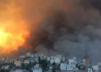 В Алжире из-за массовых лесных пожаров погибли 65 человек