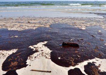 Популярные пляжи США залило нефтью
