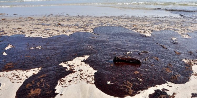 Популярные пляжи США залило нефтью