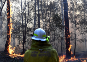 Avertismentul de la Conferinţa ONU privind schimbările climatice: Lumea se află în pragul unei catastrofe