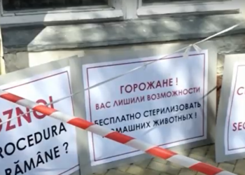 Portest în fața sediului Primăriei Chișinău pentru demisia șefului interimar al Secției control și protecție a animalelor, Vitalie Voznoi | VIDEO