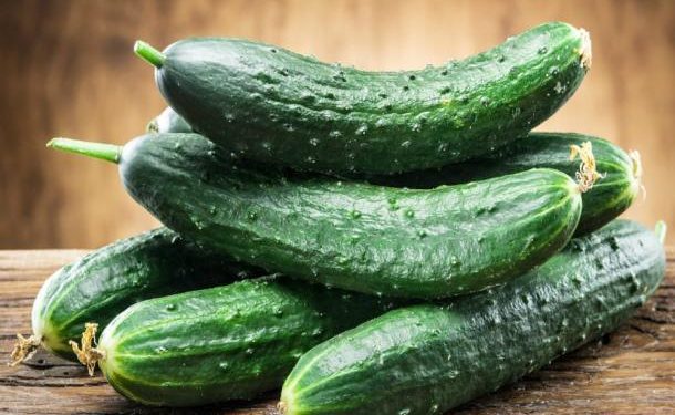 Молдова – крупнейший импортер украинских огурцов