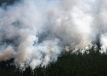 Дым от лесных пожаров в России достиг Северного полюса