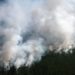 Дым от лесных пожаров в России достиг Северного полюса