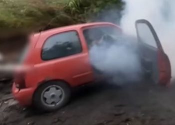 Trei adolescenți au furat o mașină, s-au filmat cu ea pentru Tik-Tok, apoi i-au dat foc | VIDEO