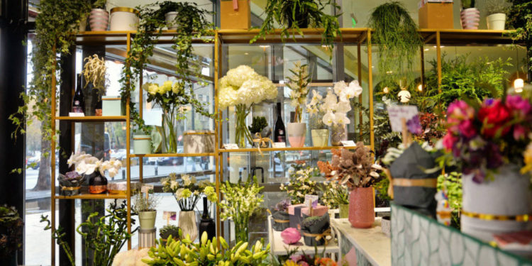 FISC-ul anunță controale în punctele de comerț a florilor, în Bălți și Chișinău