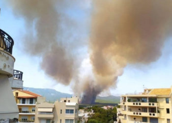 В пригороде Афин началась эвакуация из-за лесных пожаров