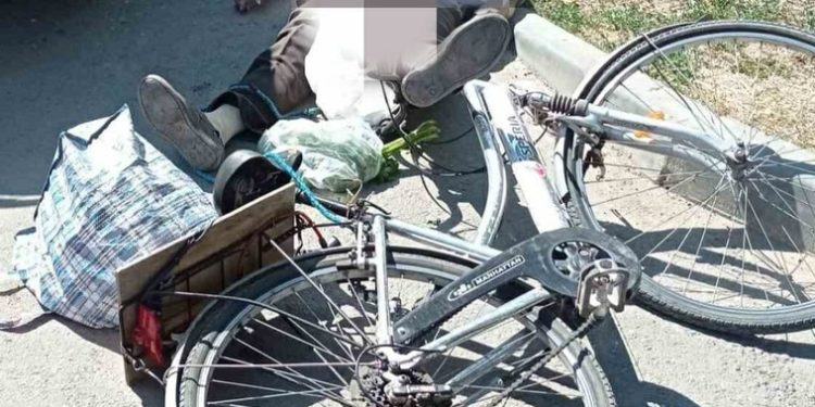 Biciclist lovit mortal de un automobil, la Cahul