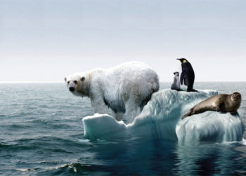 Încălzirea globală schimbă curenții oceanici din Atlantic. Lumea se va confrunta cu schimbări drastice ale vremii