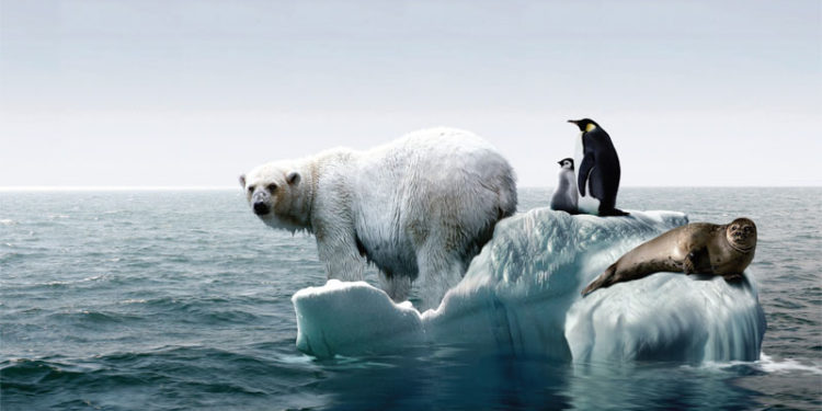 Încălzirea globală schimbă curenții oceanici din Atlantic. Lumea se va confrunta cu schimbări drastice ale vremii