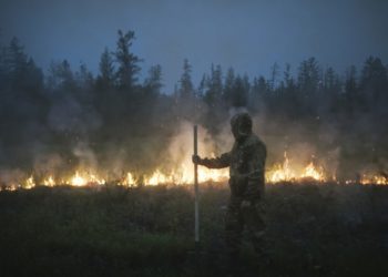 Un fermier a fost arestat după ce o cameră ascunsă l-a surprins cum pornește un incendiu de vegetație | VIDEO