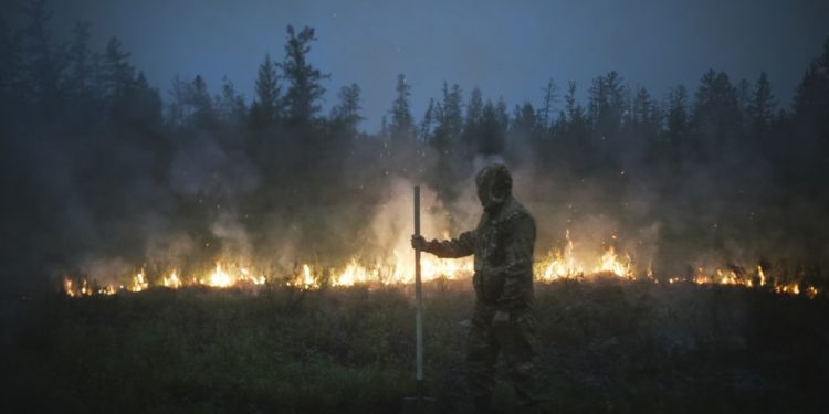 Un fermier a fost arestat după ce o cameră ascunsă l-a surprins cum pornește un incendiu de vegetație | VIDEO