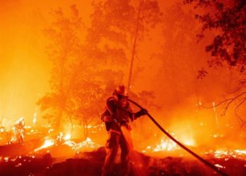 Europa a luat foc: Incendii puternice în Italia, Grecia și alte țări europene | VIDEO