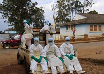 Virusul Marburg, asemănător cu Ebola, a apărut pentru prima dată în Africa de Vest. Are o mortalitate foarte mare