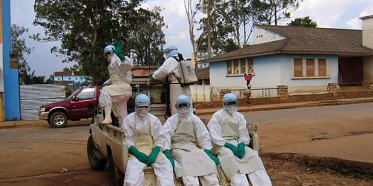 Virusul Marburg, asemănător cu Ebola, a apărut pentru prima dată în Africa de Vest. Are o mortalitate foarte mare