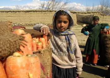 Десятки детей эвакуировали из Афганистана без родителей