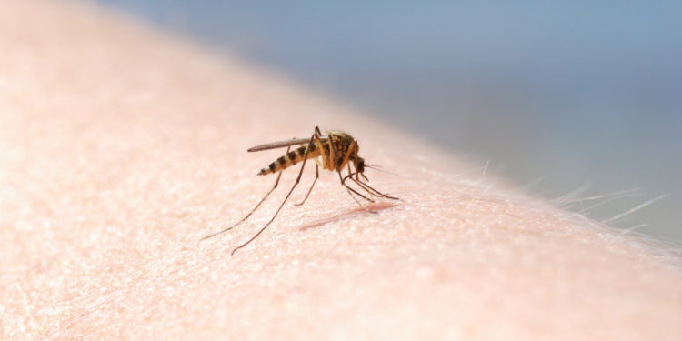 Primul caz de West Nile confirmat în acest sezon în România