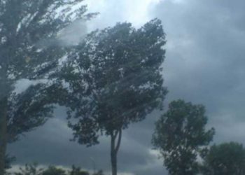 Cod Galben de vreme rea: Vijelie, ploi și vânt puternic se așteaptă în unele regiuni ale țării | VIDEO