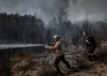 Turcia luptă de 11 zile cu cele mai grave incendii de vegetație din ultimul deceniu. 13 dintre ele ard încă necontrolat