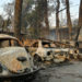 11 zile de haos în Grecia, unde oamenii fug disperați din calea focului, iar animalele mor sufocate | VIDEO
