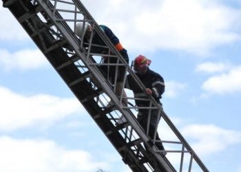 Spectacol în vârful unui copac. Salvatorii au dat jos un bărbat, care risca să cadă în gol, de la o înălțime de aproximativ 4 metri | VIDEO