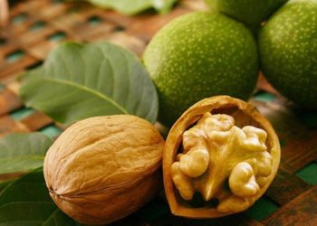 Ce loc se ocupă Moldova în lista celor mai mari exportatori de nuci | VIDEO