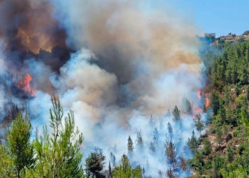 В окрестностях Иерусалима начались лесные пожары