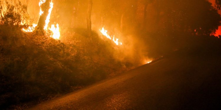 Cer de un roșu aprins la primele ore ale dimineții, în sudul Franței. Mii de hectare de teren ard într-un incendiu de proporții | VIDEO