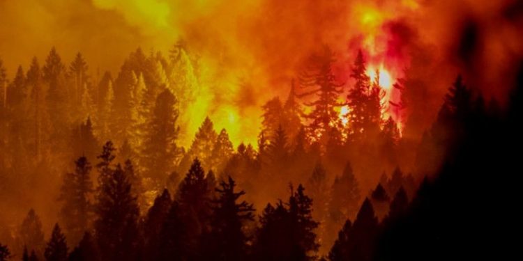 2020 – cel mai călduros an din istoria Europei, cu aproape 2 grade Celsius peste valoarea de referință