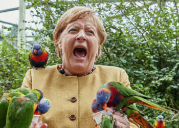 Меркель подверглась «нападению» попугая, когда она кормила птиц в парке | VIDEO/FOTO