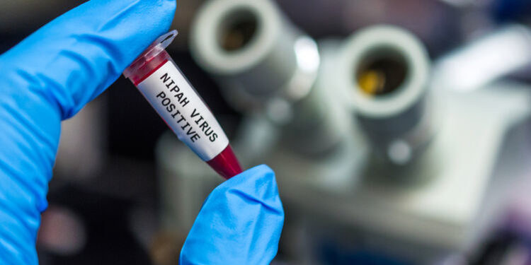 В Индии зафиксировали вспышку опасного вируса