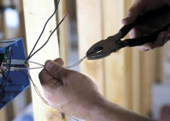 «Скрытая форма грабежа». Советники Партии «ШОР» утверждают, что экономический агент незаконно подключился к электросети столичного зоопарка | VIDEO