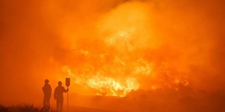Из-за лесных пожаров на юге Испании тысячи людей вынуждены были покинуть дома