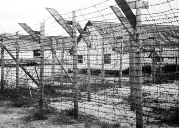 ФСБ рассекретила материалы об убийстве нацистами больных детей на Кавказе