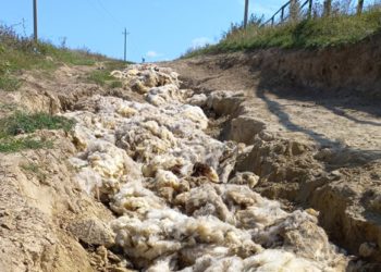 Crăpăturile unui drum în satul Cioara din raionul Hîncești au fost astupate cu lână de oaie. Autorul de inovație este necunoscut | VIDEO