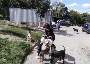 Secția de control şi protecție a animalelor din cadrul Primăriei Chișinău, din nou fără șef