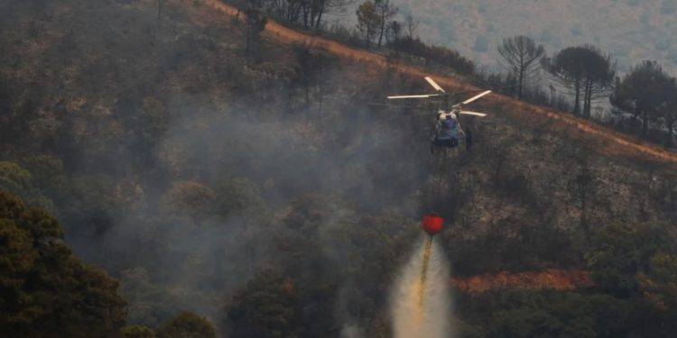 В Испании около элитного курорта начался крупный пожар, людей эвакуируют