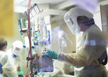 В ВОЗ заявили, что мир вышел на плато по заболеваемости COVID-19