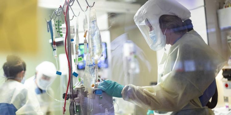 В ВОЗ заявили, что мир вышел на плато по заболеваемости COVID-19