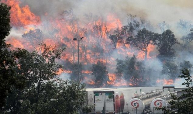 Spania: Lupta cu incendiul care a distrus deja peste 7400 de hectare a fost reluată