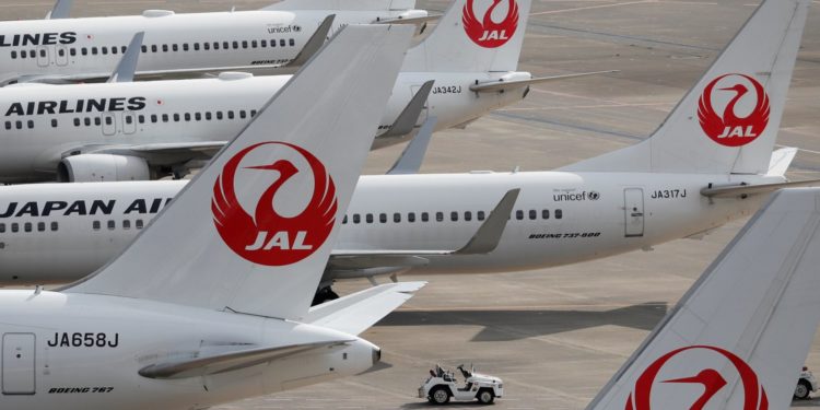 O broască țestoasă a dat peste cap zborurile de pe un aeroport din Japonia