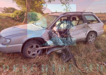 Un șofer a ieșit la depășire într-o curbă, dar s-a oprit cu automobilul într-un copac, la Căușeni
