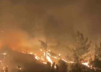 В Турции снова горят леса