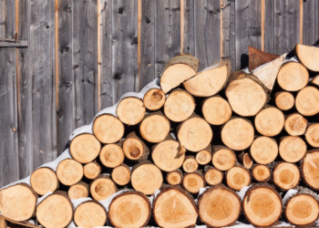 Агентство Moldsilva уточнило вырастут ли цены на дрова