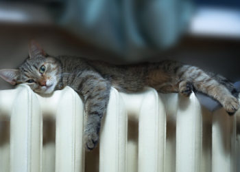 Когда в столице начнется отопительный сезон