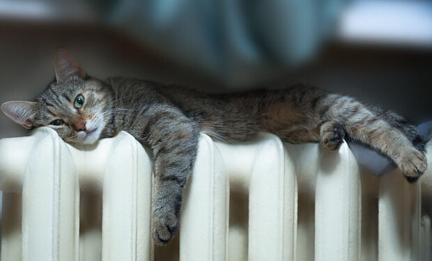 Когда в столице начнется отопительный сезон