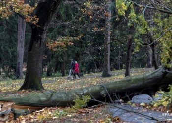 В Чехии ураган оставил без света 300 тысяч домов